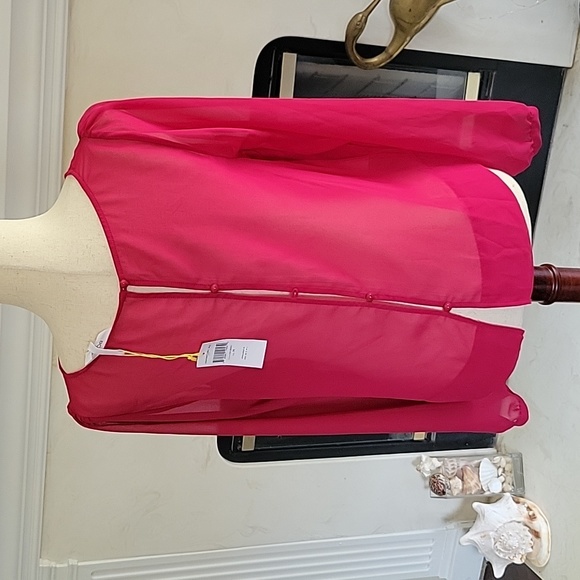 BCBG Sheer Blouse - Picture 2 of 5